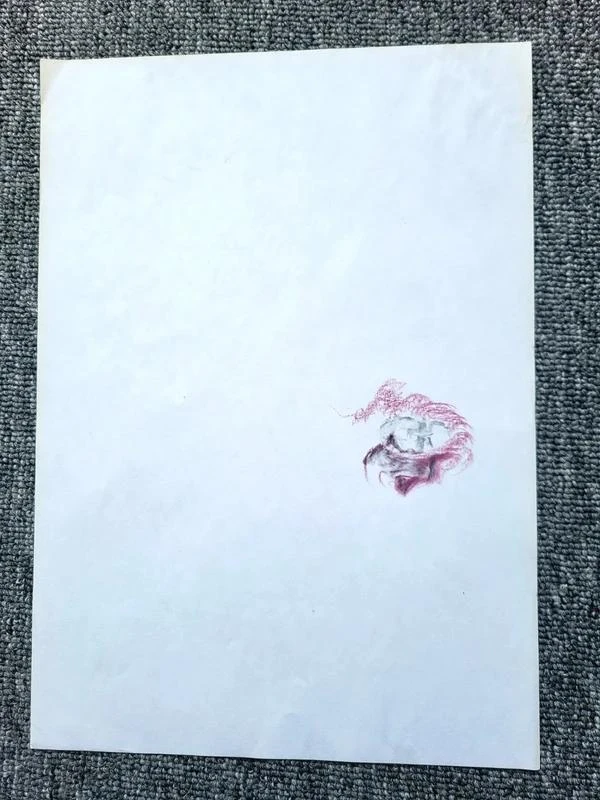Quadro Emoldurado Desenho Feito à Mão - Assinado Anne (2016) – photo 8